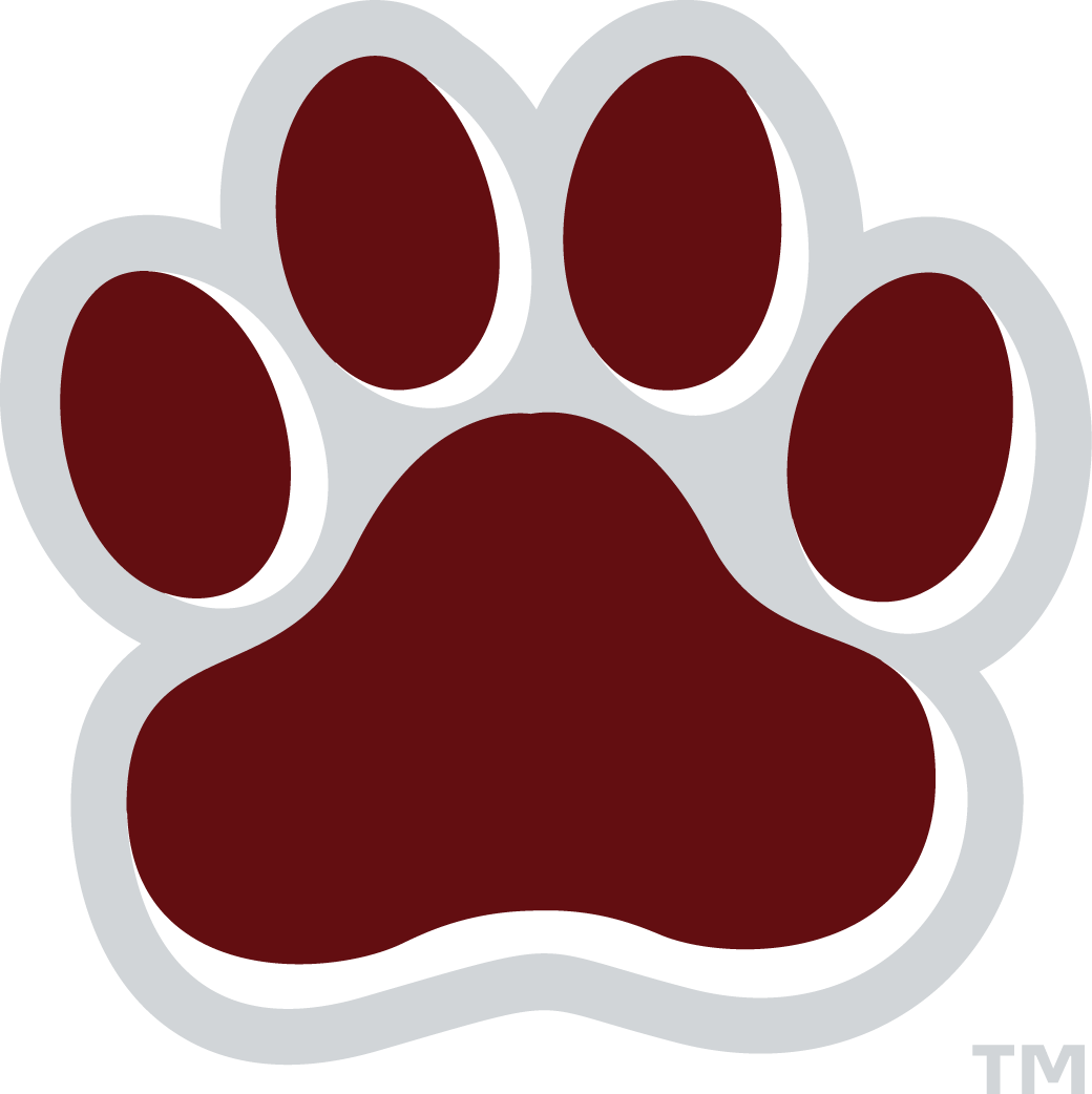 Mississippi State Bulldogs 2009-Pres Alternate Logo v5 DIY iron on transfer (heat transfer)...